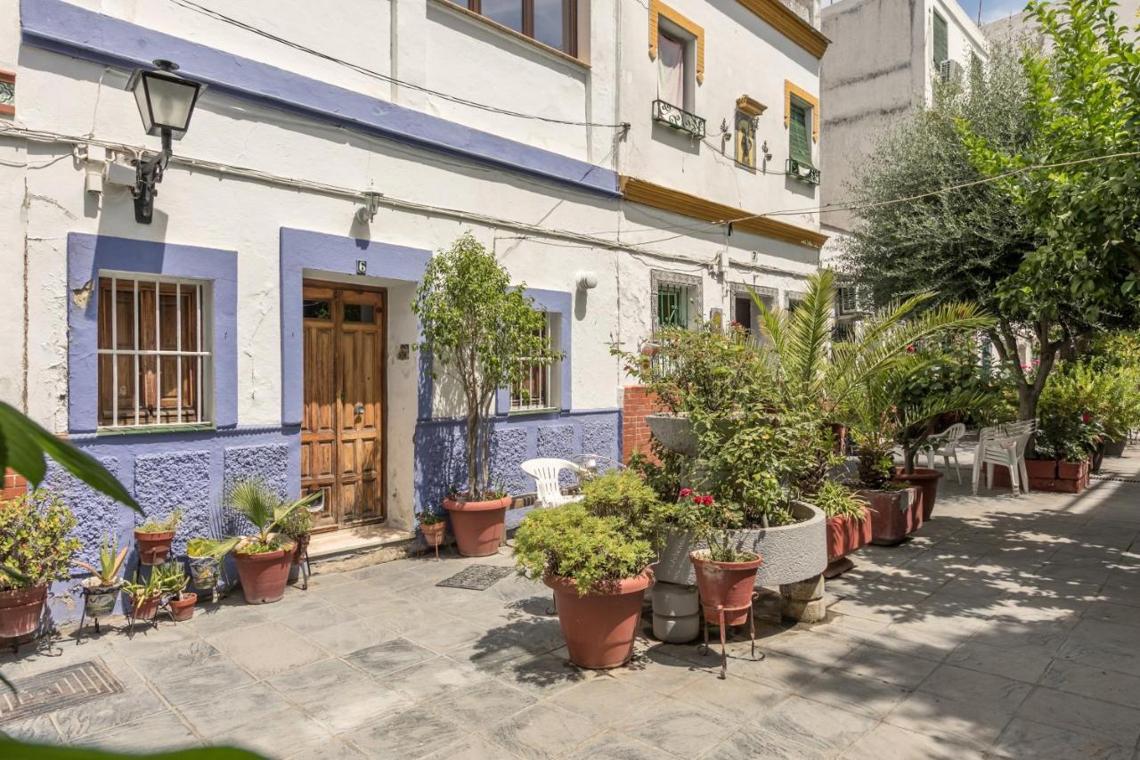 セビリアLa Casa Del Alfareroアパートメント エクステリア 写真